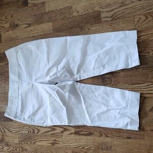 (4P) Ann Taylor Petite Curvy Capris Cottagecore Coastal Travel Vacation